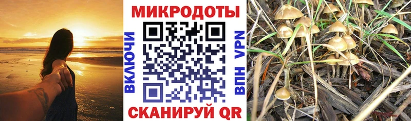 Галлюциногенные грибы мицелий купить наркотики сайты Выборг